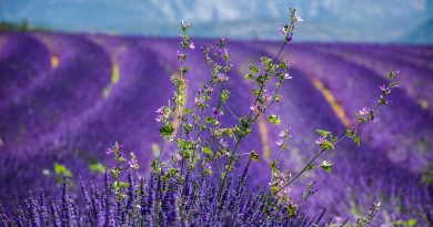 destination vacances en France