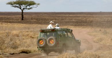 Découvrez les Joyaux de la Faune en Tanzanie : Les Parcs Nationaux à Visiter lors d'un Safari Inoubliable !