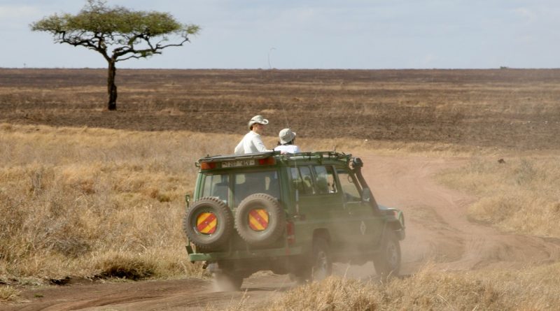 Découvrez les Joyaux de la Faune en Tanzanie : Les Parcs Nationaux à Visiter lors d'un Safari Inoubliable !