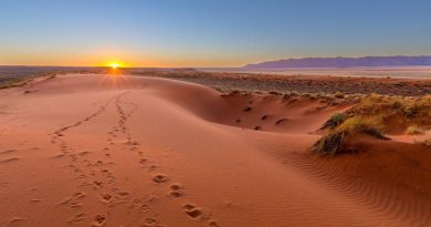 Les merveilles cachées du désert du Kalahari