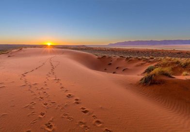 Les merveilles cachées du désert du Kalahari