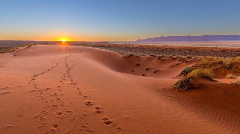Les merveilles cachées du désert du Kalahari