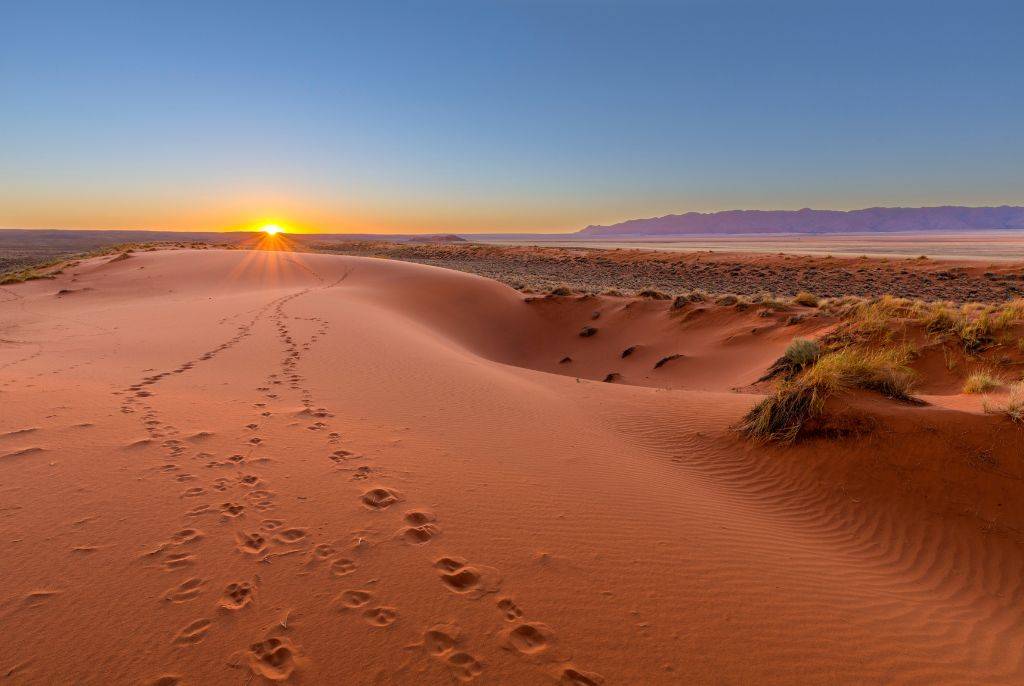 Les merveilles cachées du désert du Kalahari