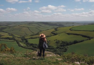 Itinéraires gourmands en France : un road trip des spécialités régionales à travers les marchés et petits producteurs
