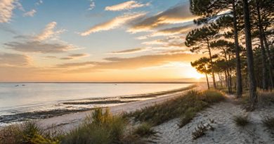 Andernos-les-bains : photos des plus beaux paysages et lieux à voir