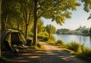 Camping la barthelasse avignon : le meilleur choix pour des vacances au bord du Rhône