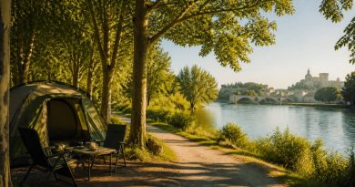 Camping la barthelasse avignon : le meilleur choix pour des vacances au bord du Rhône