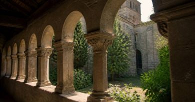 Abbaye de Silvacane photos : les plus beaux clichés et conseils de visite