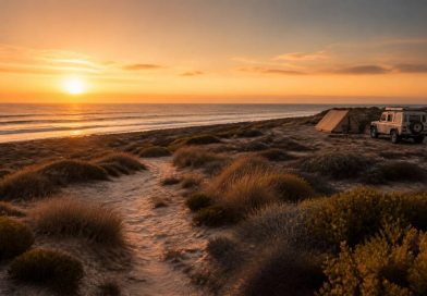 Beauduc camping : où camper près de la plage sauvage en Camargue