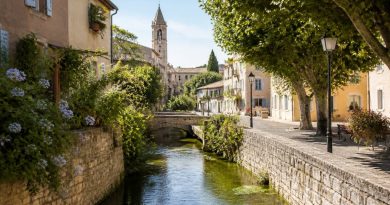 Brignoles en photos : découvrez les trésors de cette ville provençale