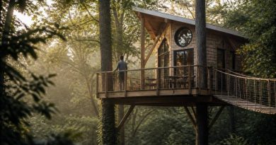 Cabane dans les arbres constructeur : comment choisir le bon professionnel en France