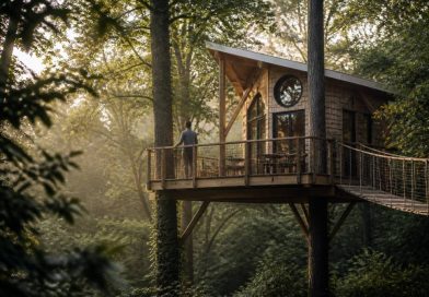 Cabane dans les arbres constructeur : comment choisir le bon professionnel en France