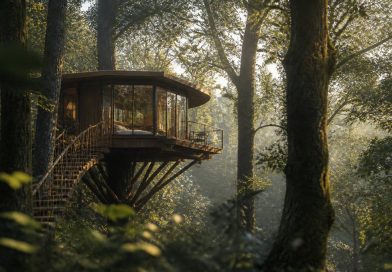 Cabane forêt : les plus beaux hébergements insolites en pleine nature en France