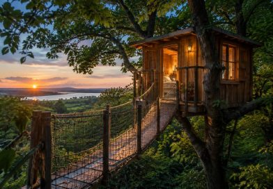 Cabane dans les arbres à Ploemel : une nuit insolite au cœur de la nature