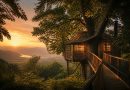 Cabane dans les arbres à proximité : les meilleurs hébergements insolites en France