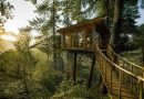 Cabane forestiere : les meilleures adresses pour un séjour insolite en pleine nature