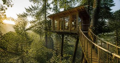 Cabane forestiere : les meilleures adresses pour un séjour insolite en pleine nature