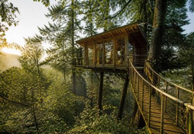 Cabane forestiere : les meilleures adresses pour un séjour insolite en pleine nature