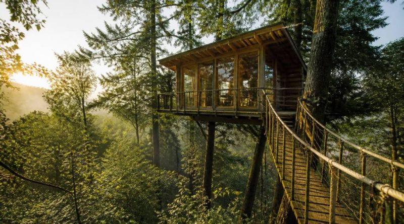 Cabane forestiere : les meilleures adresses pour un séjour insolite en pleine nature