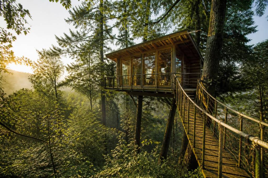 Cabane forestiere : les meilleures adresses pour un séjour insolite en pleine nature