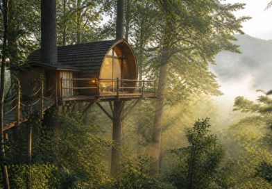 Cabane dans la forêt : les meilleures destinations pour un séjour insolite en France