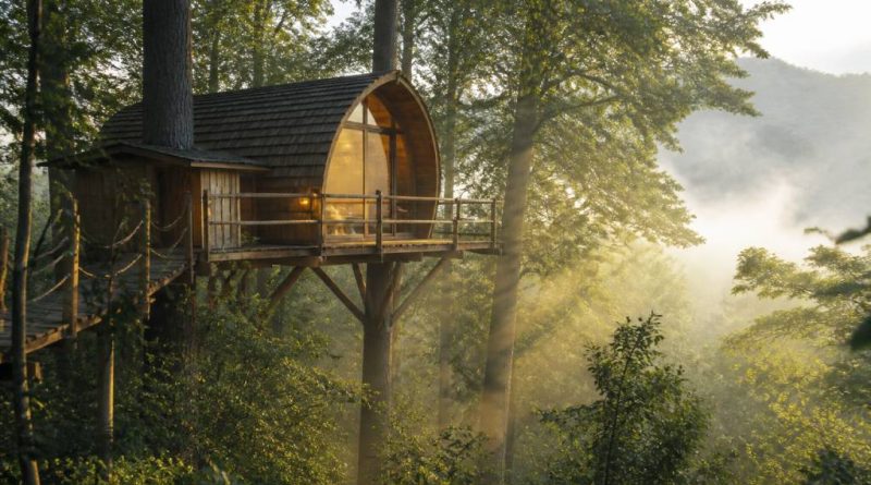 Cabane dans la forêt : les meilleures destinations pour un séjour insolite en France