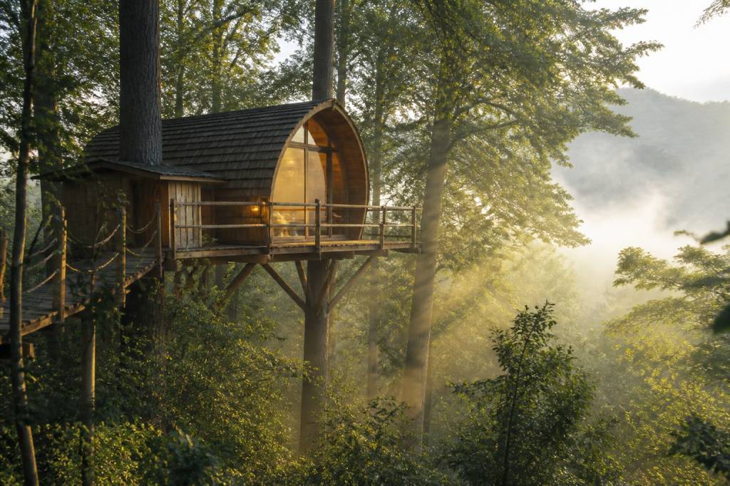 Cabane dans la forêt : les meilleures destinations pour un séjour insolite en France