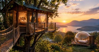 Cabane autour de moi : les meilleurs hébergements insolites en France
