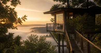 Cabane la haut : une escapade insolite au cœur de la nature française