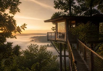 Cabane la haut : une escapade insolite au cœur de la nature française