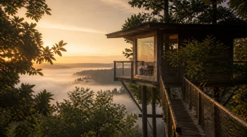 Cabane la haut : une escapade insolite au cœur de la nature française