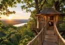 Petite cabane dans les arbres : une escapade insolite au cœur de la nature française