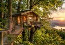 Maison dans l'arbre : les meilleurs hébergements insolites en France
