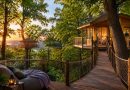 Camping dans les arbres : les meilleures adresses pour des vacances insolites en France