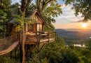 Où réserver un hôtel cabane en France pour un séjour insolite&nbsp;?