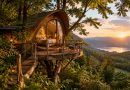 La cabane des rêves : une escapade insolite au cœur de la nature en France