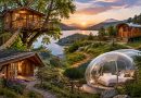 Gîte cabane : où séjourner pour des vacances insolites en France ?
