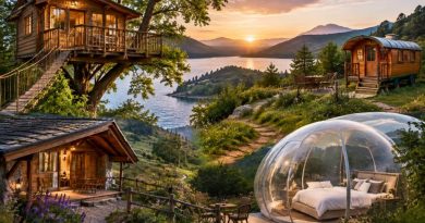 Gîte cabane : où séjourner pour des vacances insolites en France ?