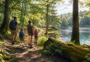 Le bois de Rosoy : une escapade nature en famille en France
