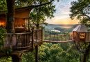 Camping arbre : les meilleurs hébergements insolites au cœur de la nature en France