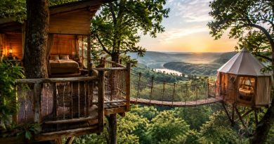 Camping arbre : les meilleurs hébergements insolites au cœur de la nature en France